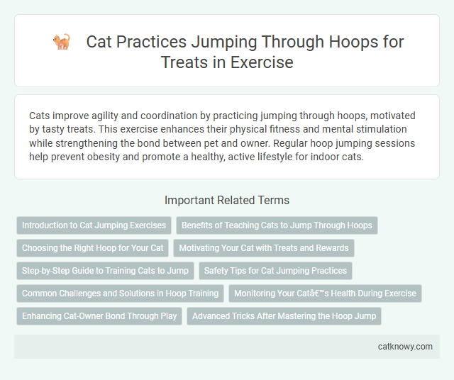 Cat Practices Jumping Through Hoops for Treats in Exercise