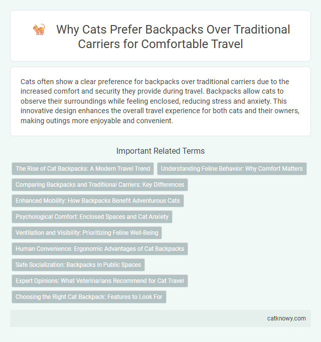 Why Cats Prefer Backpacks Over Traditional Carriers for Comfortable Travel