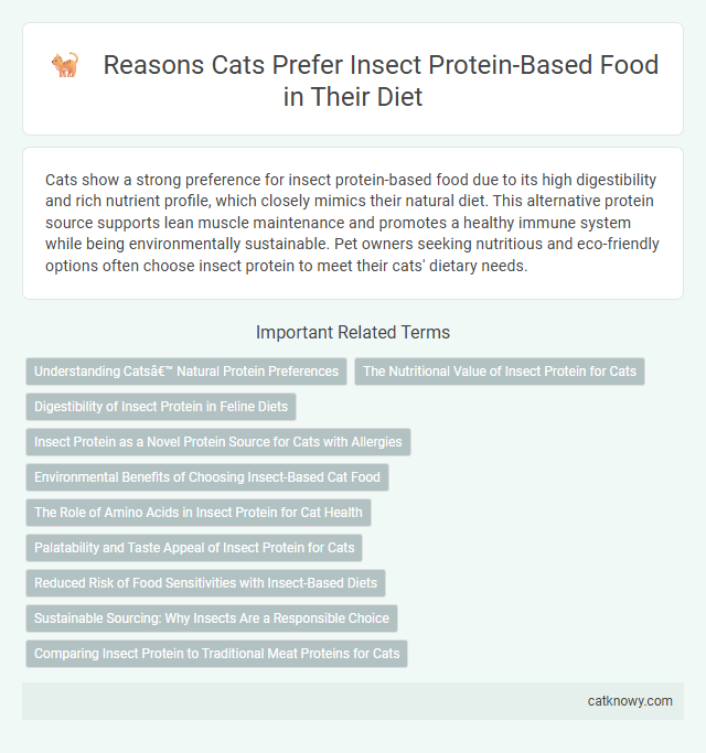 Reasons Cats Prefer Insect Protein-Based Food in Their Diet