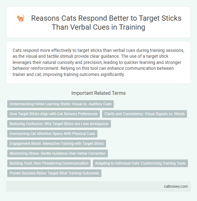 Reasons Cats Respond Better to Target Sticks Than Verbal Cues in Training