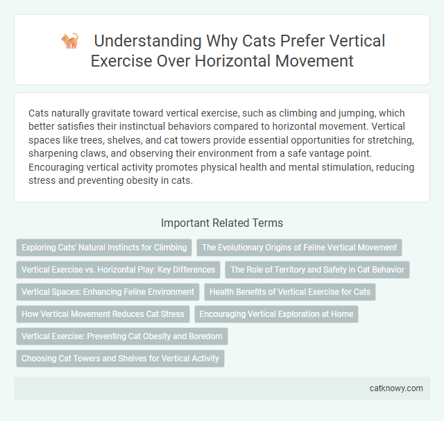 Understanding Why Cats Prefer Vertical Exercise Over Horizontal Movement