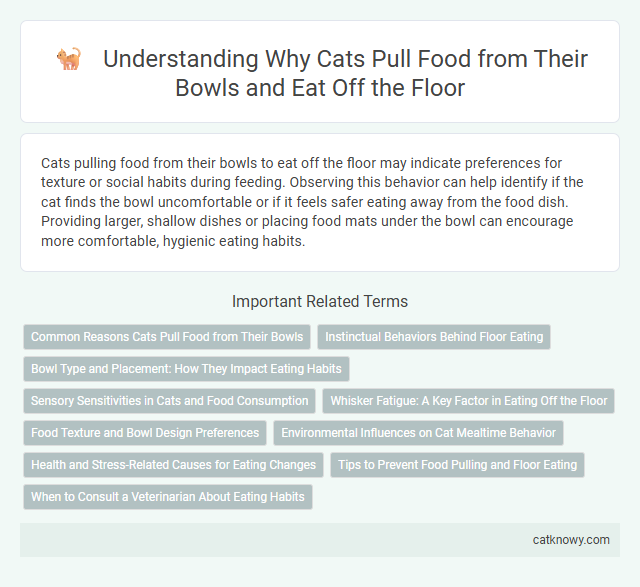 Understanding Why Cats Pull Food from Their Bowls and Eat Off the Floor