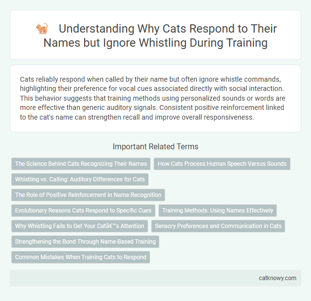 Understanding Why Cats Respond to Their Names but Ignore Whistling During Training