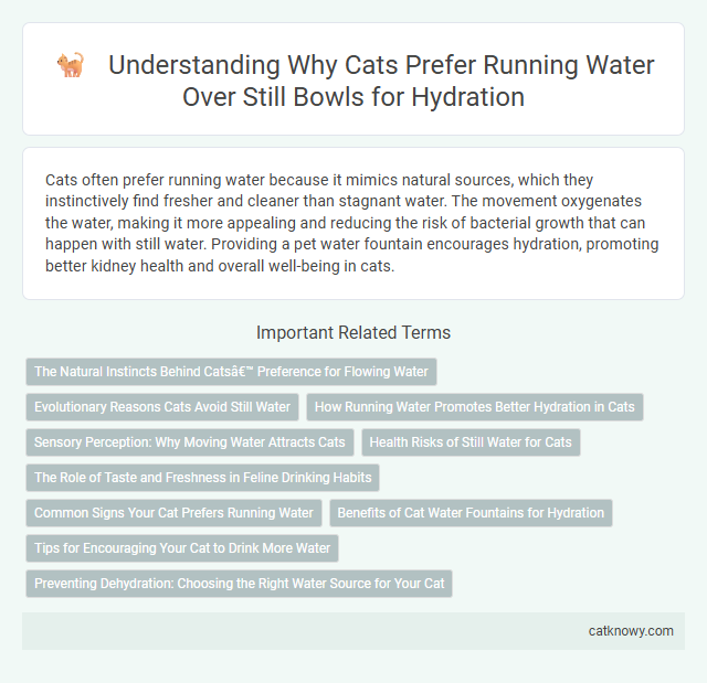 Understanding Why Cats Prefer Running Water Over Still Bowls for Hydration