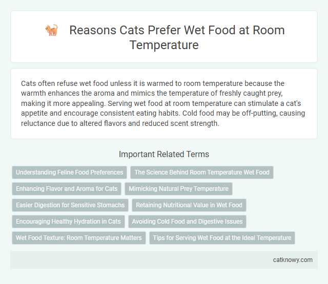 Reasons Cats Prefer Wet Food at Room Temperature