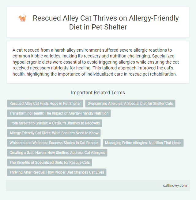 Rescued Alley Cat Thrives on Allergy-Friendly Diet in Pet Shelter