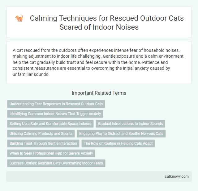 Calming Techniques for Rescued Outdoor Cats Scared of Indoor Noises