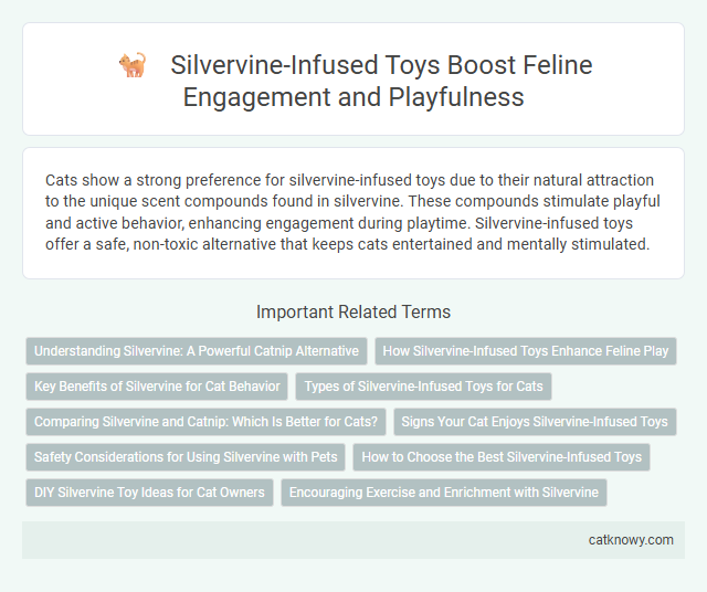Silvervine-Infused Toys Boost Feline Engagement and Playfulness