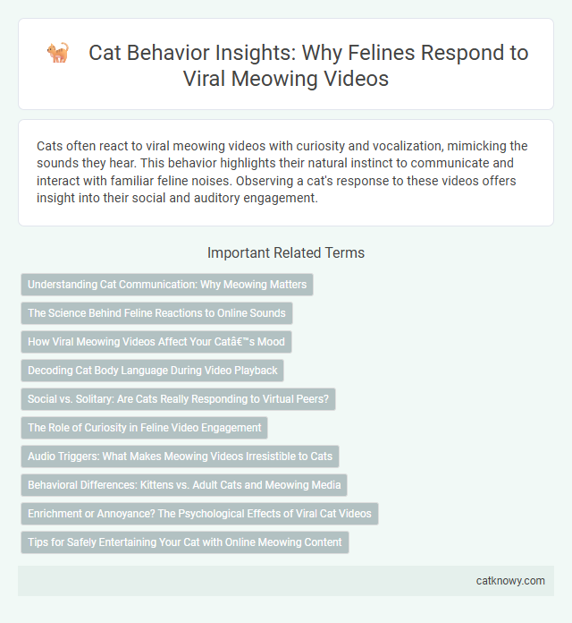 Cat Behavior Insights: Why Felines Respond to Viral Meowing Videos
