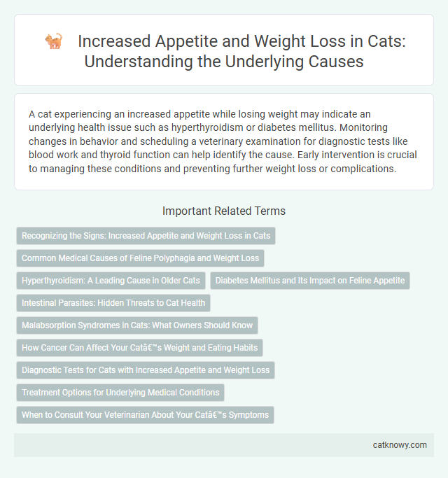 Increased Appetite and Weight Loss in Cats: Understanding the Underlying Causes