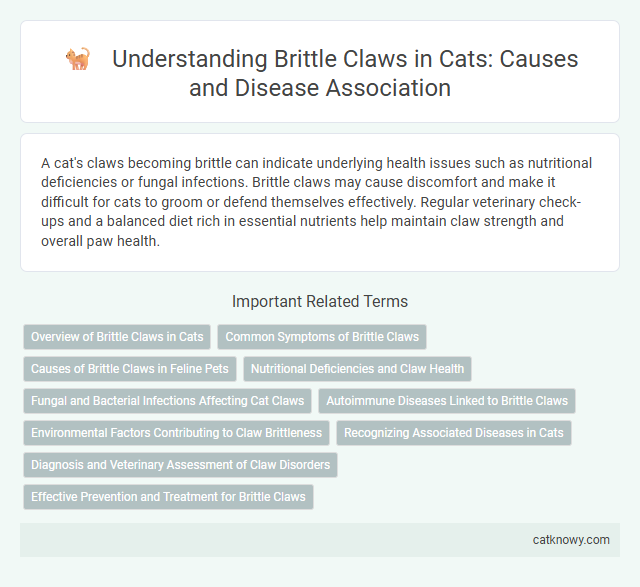 Understanding Brittle Claws in Cats: Causes and Disease Association
