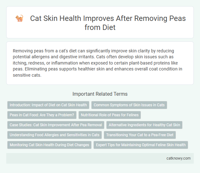 Cat Skin Health Improves After Removing Peas from Diet