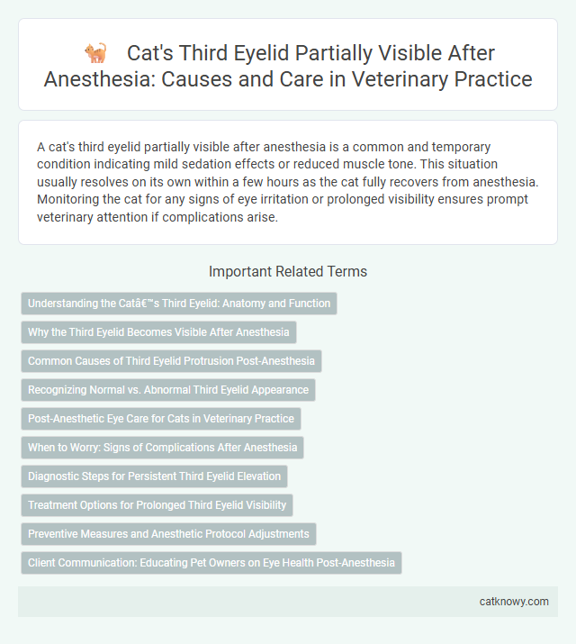 Cat's Third Eyelid Partially Visible After Anesthesia: Causes and Care in Veterinary Practice