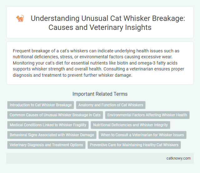 Understanding Unusual Cat Whisker Breakage: Causes and Veterinary Insights