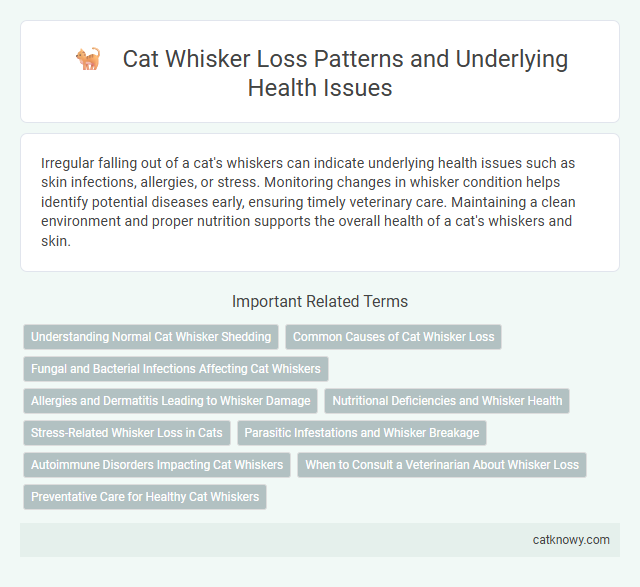 Cat Whisker Loss Patterns and Underlying Health Issues