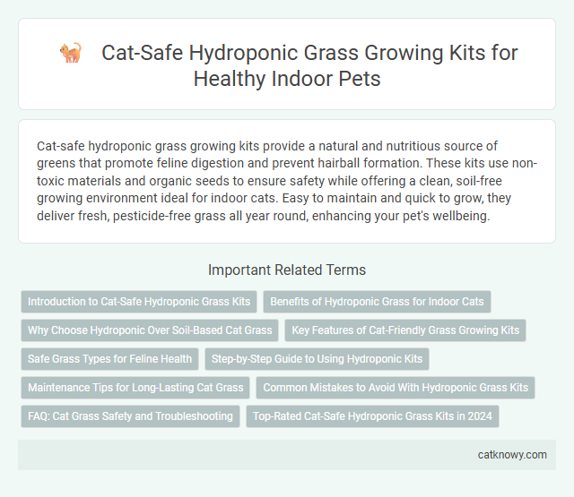 Cat-Safe Hydroponic Grass Growing Kits for Healthy Indoor Pets