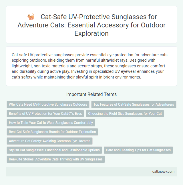 Cat-Safe UV-Protective Sunglasses for Adventure Cats: Essential Accessory for Outdoor Exploration