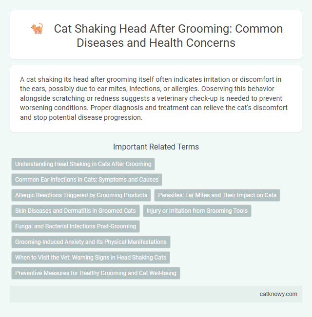 Cat Shaking Head After Grooming: Common Diseases and Health Concerns