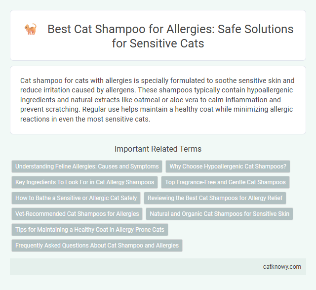 Best Cat Shampoo for Allergies: Safe Solutions for Sensitive Cats