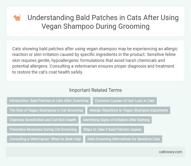 Understanding Bald Patches in Cats After Using Vegan Shampoo During Grooming