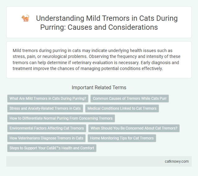 Understanding Mild Tremors in Cats During Purring: Causes and Considerations