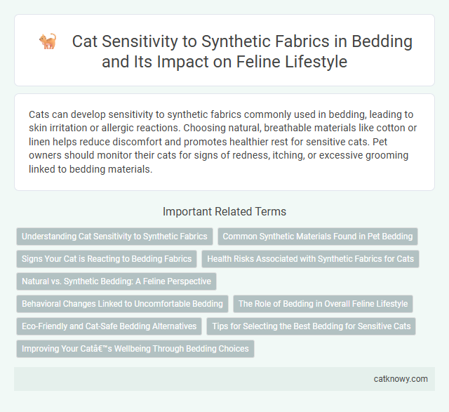 Cat Sensitivity to Synthetic Fabrics in Bedding and Its Impact on Feline Lifestyle