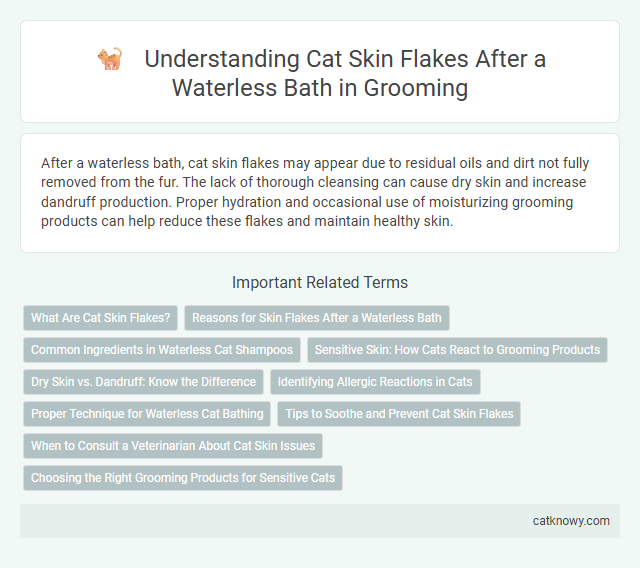 Understanding Cat Skin Flakes After a Waterless Bath in Grooming