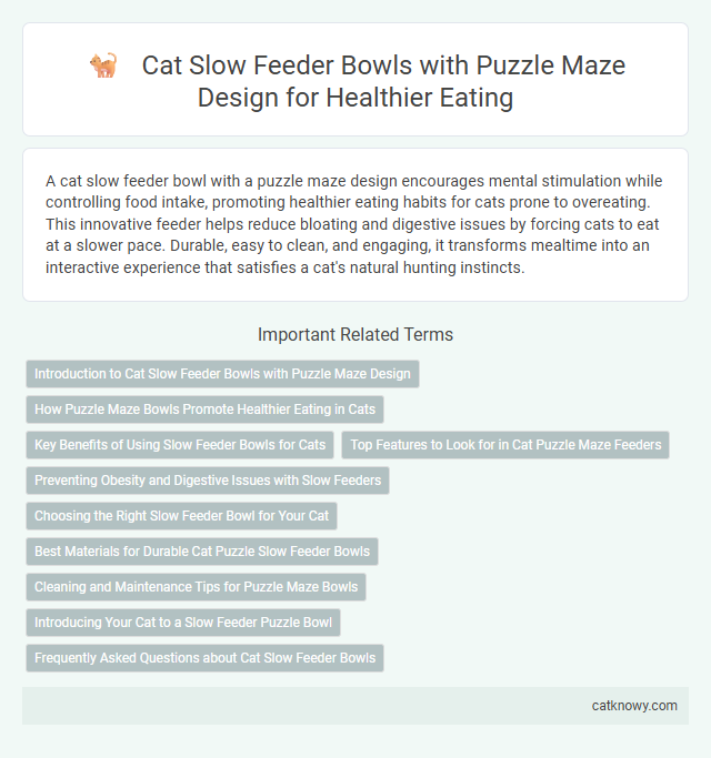Cat Slow Feeder Bowls with Puzzle Maze Design for Healthier Eating