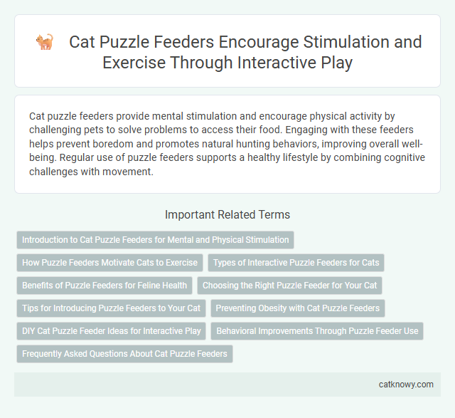Cat Puzzle Feeders Encourage Stimulation and Exercise Through Interactive Play