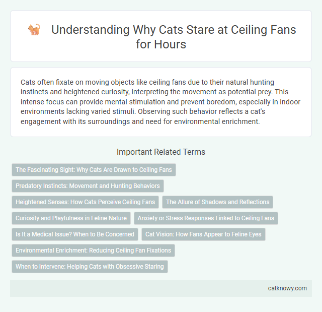 Understanding Why Cats Stare at Ceiling Fans for Hours