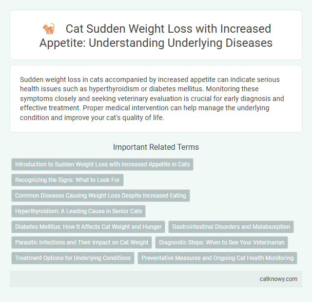 Cat Sudden Weight Loss with Increased Appetite: Understanding Underlying Diseases