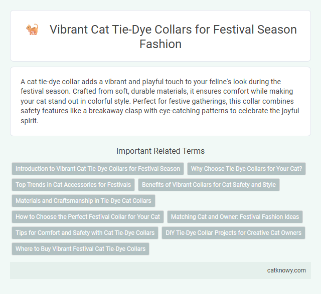 Vibrant Cat Tie-Dye Collars for Festival Season Fashion