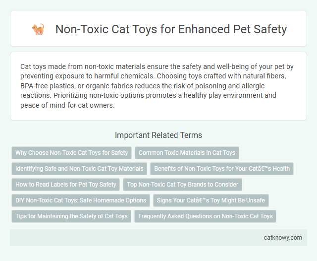 Non-Toxic Cat Toys for Enhanced Pet Safety
