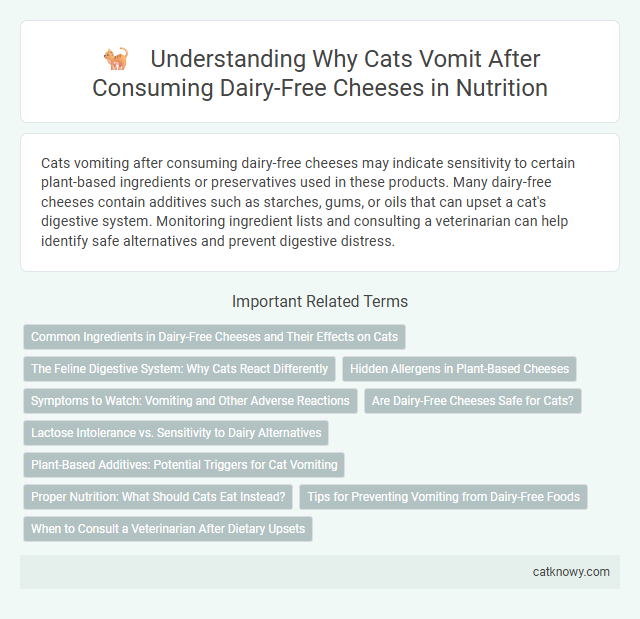 Understanding Why Cats Vomit After Consuming Dairy-Free Cheeses in Nutrition