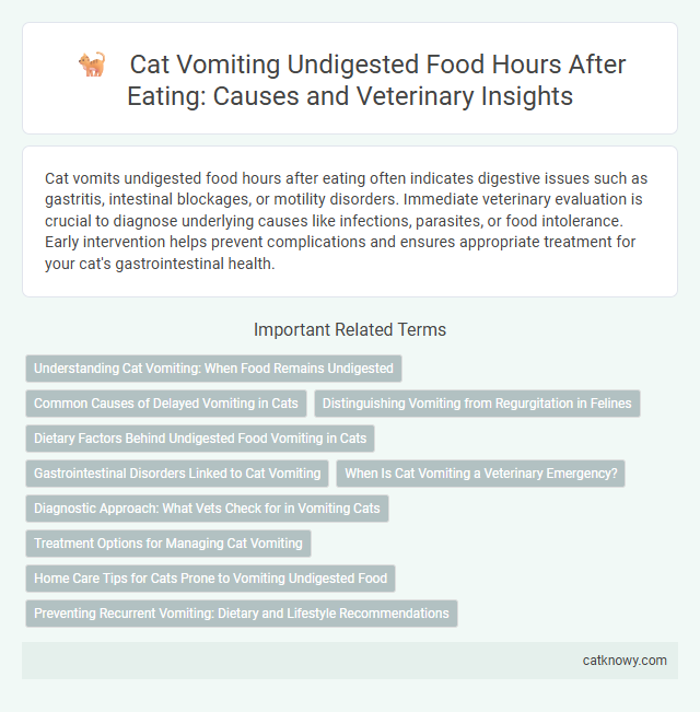 Cat Vomiting Undigested Food Hours After Eating: Causes and Veterinary Insights