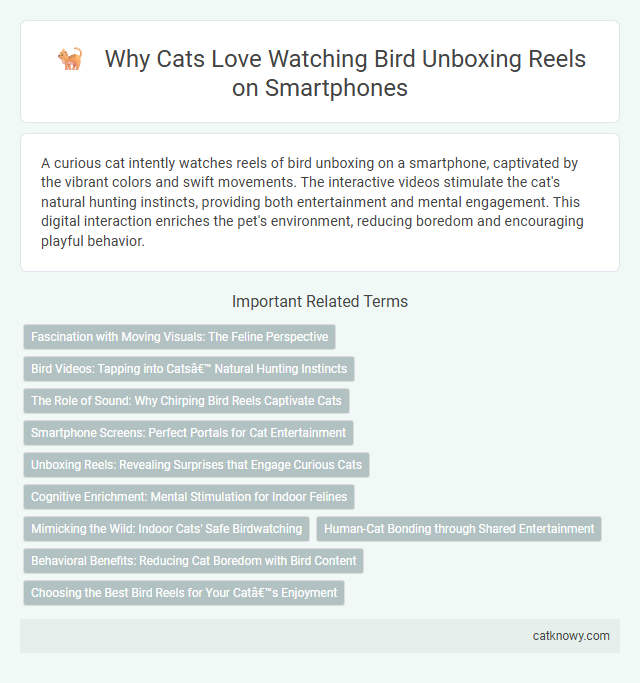Why Cats Love Watching Bird Unboxing Reels on Smartphones
