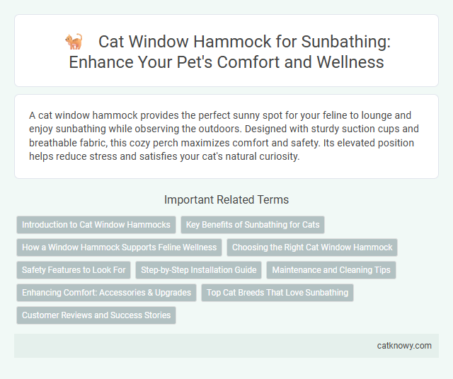 Cat Window Hammock for Sunbathing: Enhance Your Pet's Comfort and Wellness