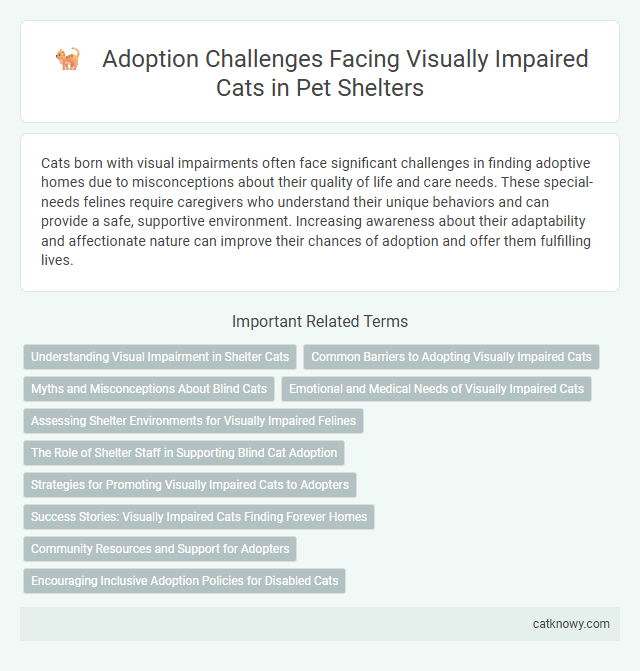 Adoption Challenges Facing Visually Impaired Cats in Pet Shelters