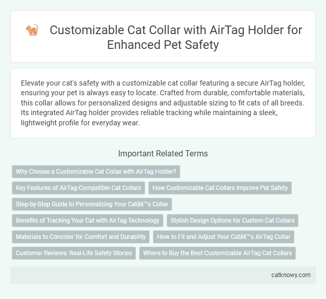 Customizable Cat Collar with AirTag Holder for Enhanced Pet Safety
