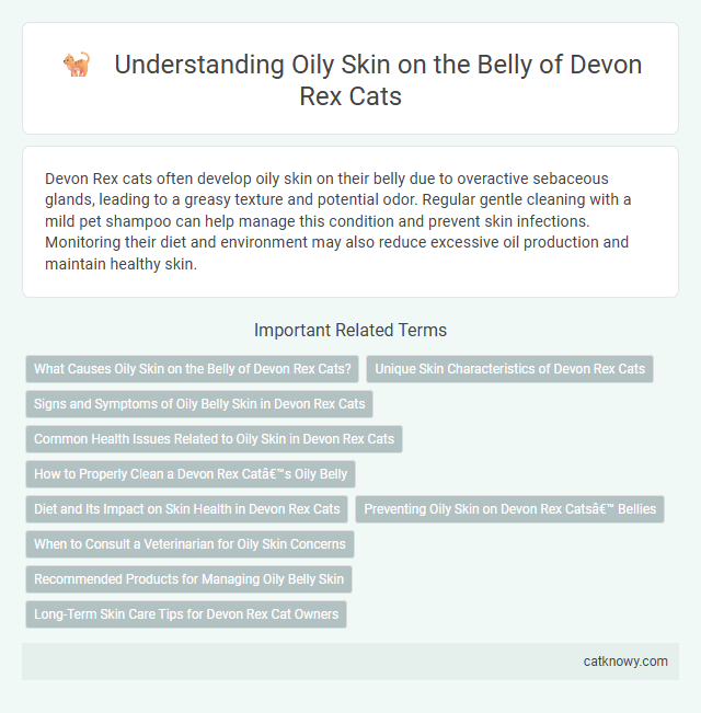 Understanding Oily Skin on the Belly of Devon Rex Cats