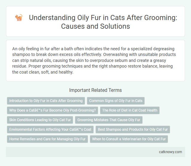 Understanding Oily Fur in Cats After Grooming: Causes and Solutions