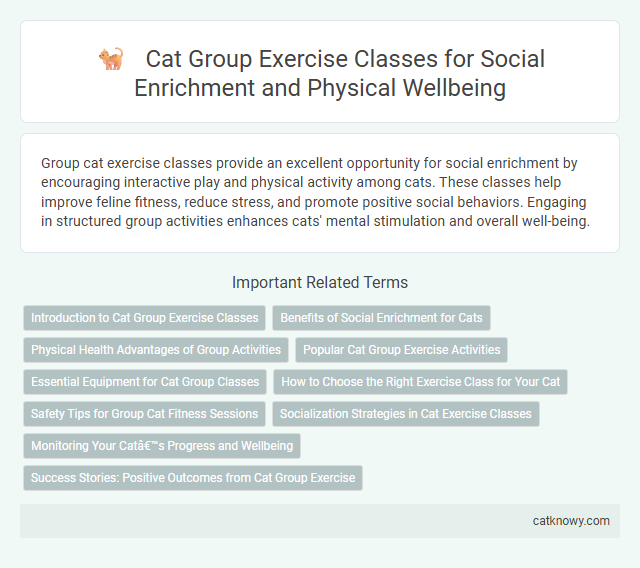 Cat Group Exercise Classes for Social Enrichment and Physical Wellbeing