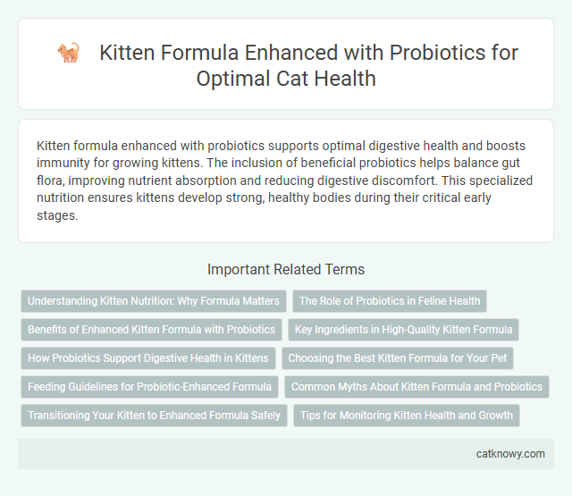 Kitten Formula Enhanced with Probiotics for Optimal Cat Health