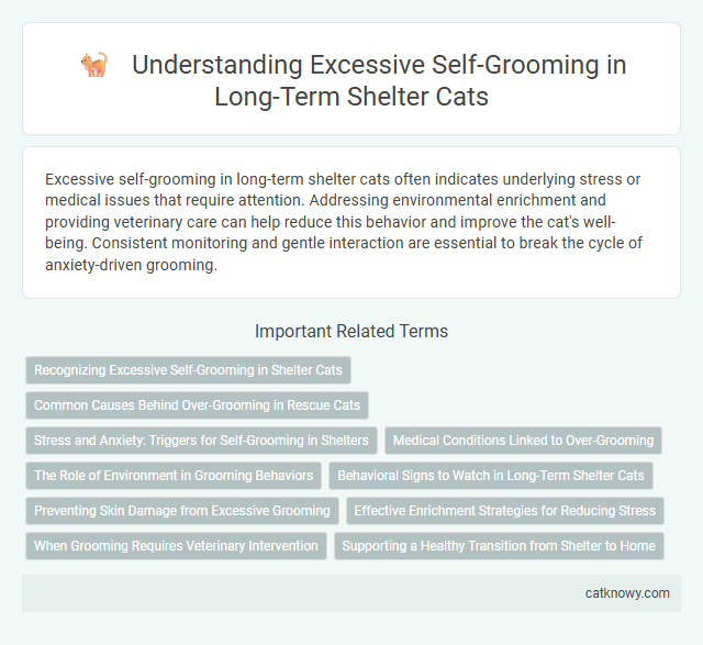 Understanding Excessive Self-Grooming in Long-Term Shelter Cats