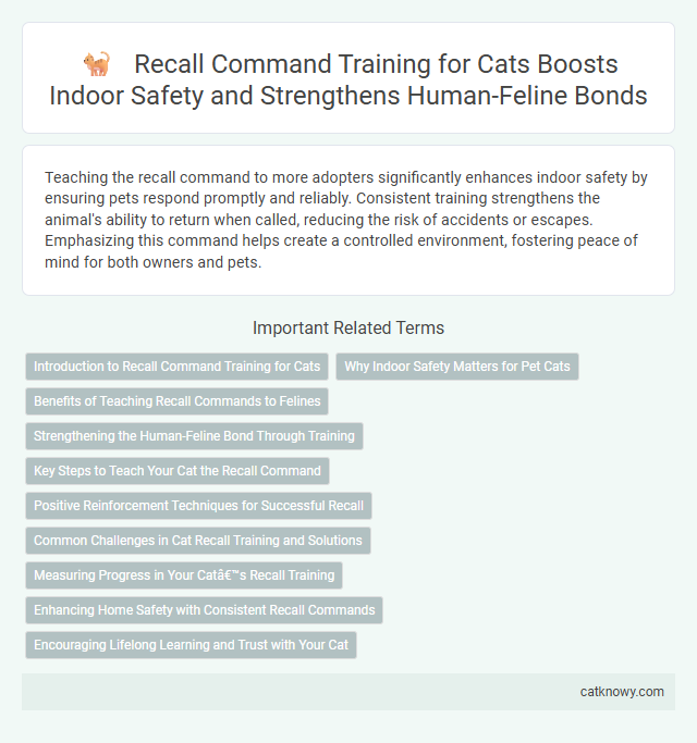 Recall Command Training for Cats Boosts Indoor Safety and Strengthens Human-Feline Bonds