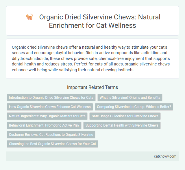 Organic Dried Silvervine Chews: Natural Enrichment for Cat Wellness