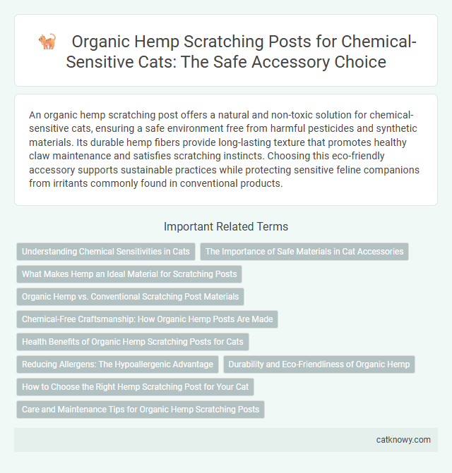 Organic Hemp Scratching Posts for Chemical-Sensitive Cats: The Safe Accessory Choice