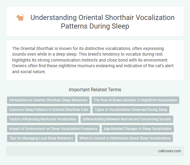 Understanding Oriental Shorthair Vocalization Patterns During Sleep