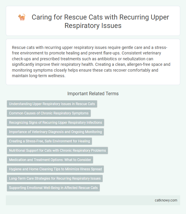 Caring for Rescue Cats with Recurring Upper Respiratory Issues
