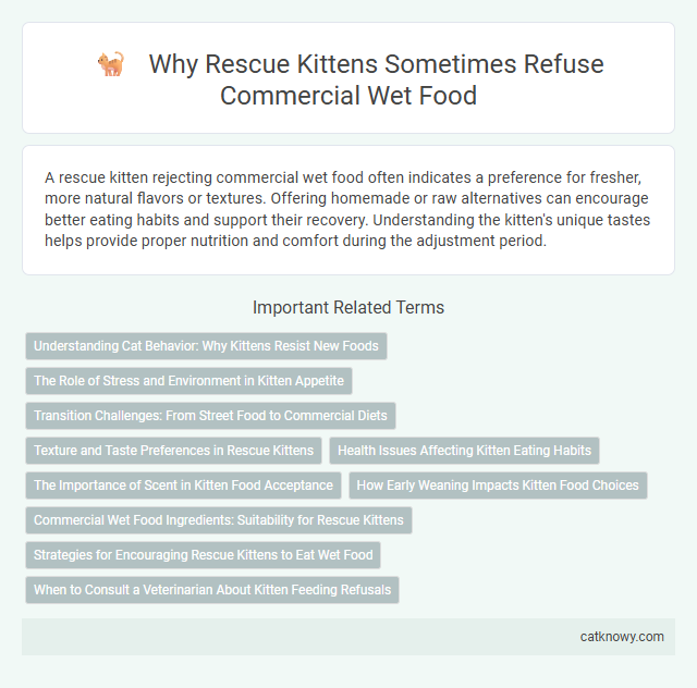 Why Rescue Kittens Sometimes Refuse Commercial Wet Food